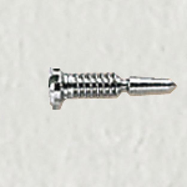 Bild von Federscharnierschrauben, Stahl, M 1,4, Länge 6,0/3,1 mm, Kopf-Ø 2,0 mm, 40 Stk.