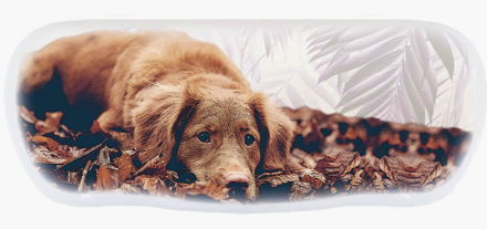 Bild von Alu-Etuis, "Hund", 162 x 66 x 40 mm, 10 Stück